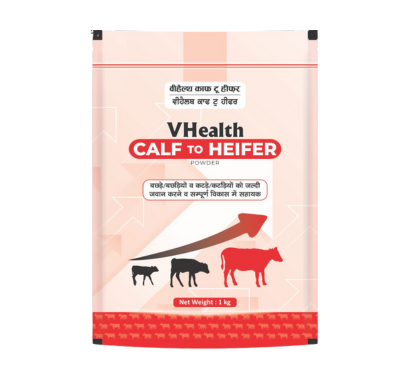 VHealth CALF to HEIFER 1kg