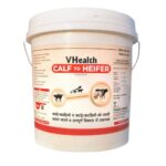 VHealth CALF to HEIFER 5kg